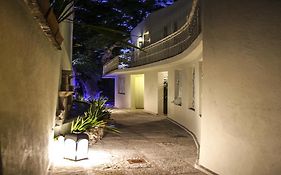 Casa Aliz